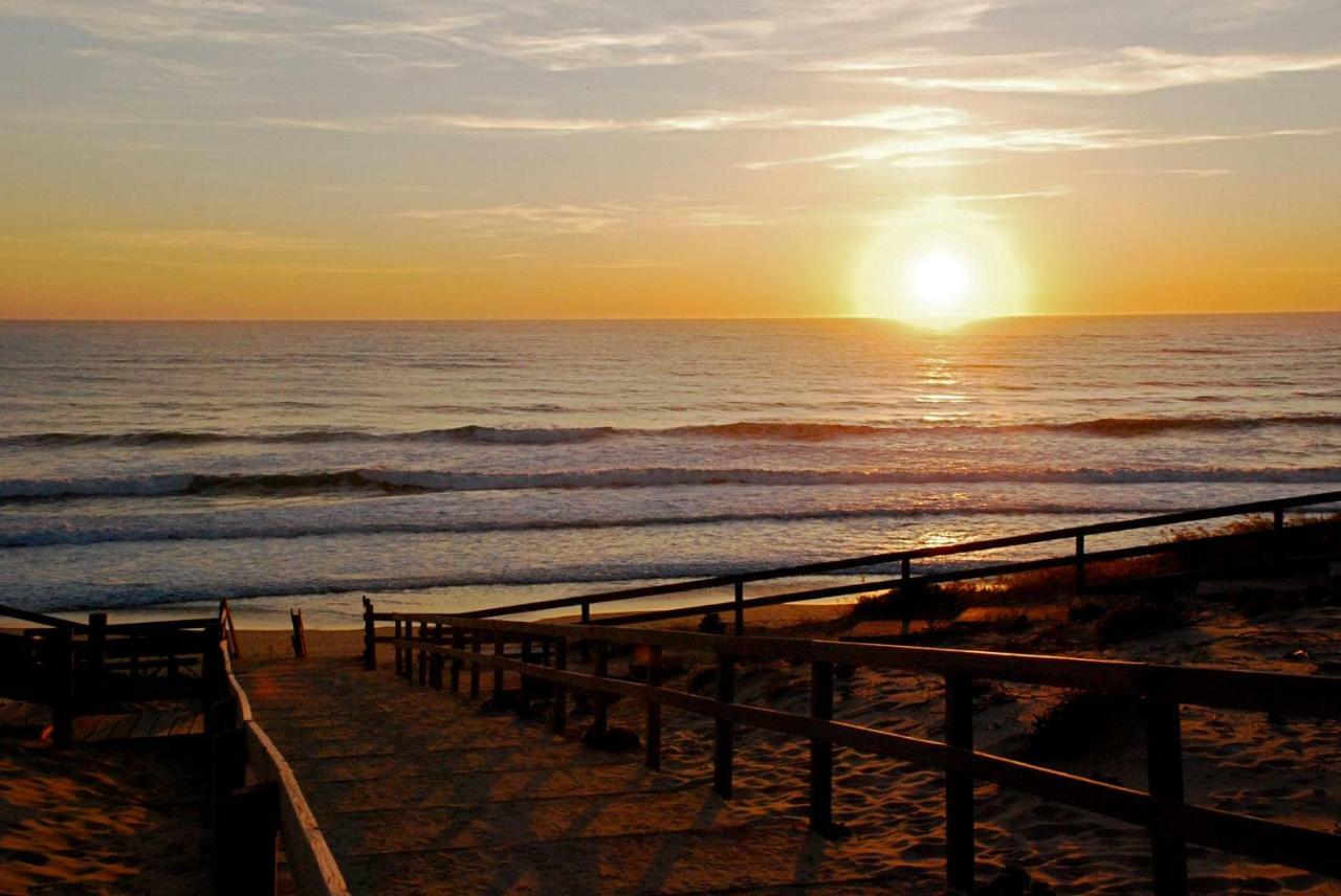 Les Dunes De Contis- Landes Saint-Julien-en-Born Ngoại thất bức ảnh